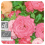 → HUILE ESSENTIELLE DE ROSE DE DAMAS BIO