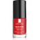 → SILICIUM - VERNIS FORTIFIANT PROTECTEUR