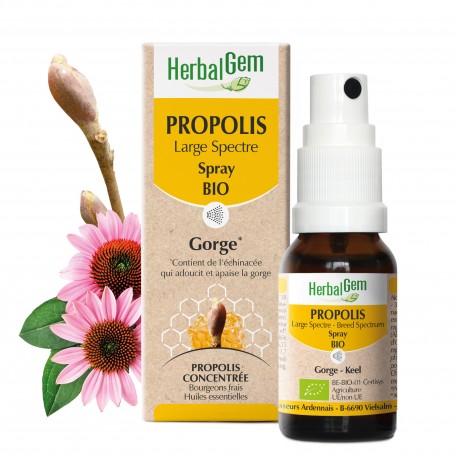 → PROPOLIS LARGE SPECTRE SPRAY - BIO