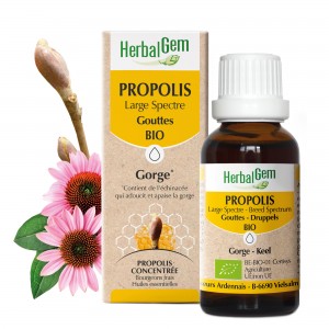 → PROPOLIS LARGE SPECTRE - BIO