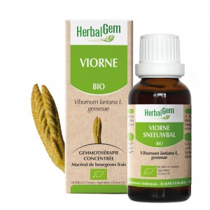 → VIORNE - BOURGEONS MACÉRAT MÈRE BIO