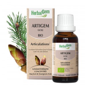 → ARTIGEM BIO - ARTICULATIONS